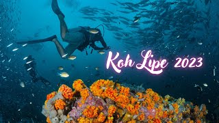 Escape to Koh Lipe  The Ultimate Diving Paradise in Thailand [upl. by Nilrac]