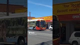 Adelaide Metro 1304 on Tapleys Hill Road at Hendon shorts seb adelaidemetro train trains fyp [upl. by Nireves118]