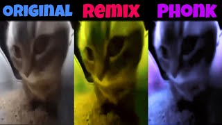 Chipi Chipi Chapa Chapa Original vs Phonk vs Remix [upl. by Francene74]