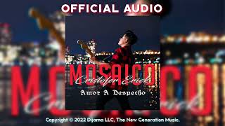 Cristofer Erick  Mosaico Amor A Despecho Official Audio [upl. by Ailisec]