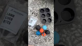 Muffin Tin Mental Stimulation Game for Dogs [upl. by Schluter]