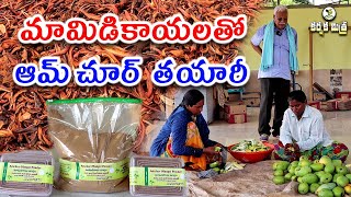 మామిడికాయలతో ఆమ్ చూర్ తయారీ  How to Make Organic Amchoor  Amchur Powder  Karshaka Mitra [upl. by Notelrahc]