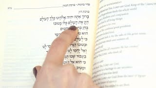 Birkat Hamazon Grace After Meals How to Say This Jewish Prayer [upl. by Anael]