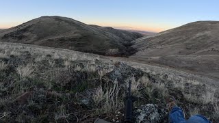 Pursuing The elusive prairie Wolf  Coyote coyotehunting [upl. by Harihs]