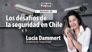 Sintonía Pública  Episodio 28  Lucía Dammert Los desafíos de la seguridad en Chile [upl. by Eixirt]