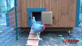 Automatic Chicken Coop Door Opener [upl. by Lienaj]