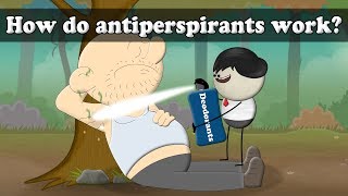 How do antiperspirants work  aumsum kids science education children [upl. by Noevad]