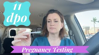 11 DPO Pregnancy Tests [upl. by Nolyd]