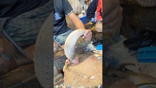 Amazing Poa Fish Cutting Skills In Bangladesh Local Fish Market shorts [upl. by Feerahs432]