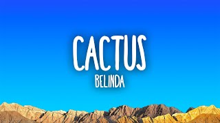 Belinda  Cactus [upl. by Irrem353]