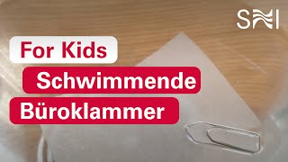 Experiment Die Büroklammer schwimmt [upl. by Ilam]