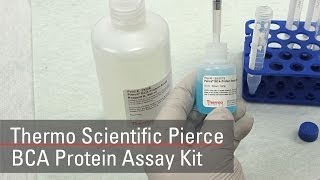 BCA Protein Assay Reagent bicinchoninic acid [upl. by Lyndon]