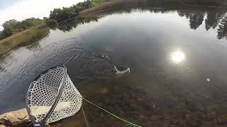 Fly Fishing at Cassel CA  September 17  19 2023 [upl. by Zildjian]