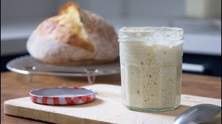 Stop Wasting Time amp Flour Maintaining A Sourdough Starter This Strategy is Way Better [upl. by Kcirredal]