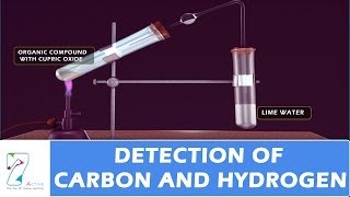 Detection of Carbon And Hydrogen [upl. by Sherwynd483]