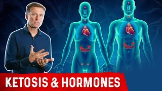 How Ketones Affect Hormones and the Endocrine System [upl. by Zelle409]