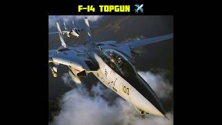 The Legendary Plane “F14 TomCat” ✈️ studyfacts trending topgun [upl. by Jemima]