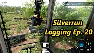 Logging is Paying Off in Farming Simulator 22 on Silverrun Ep 20 [upl. by Zaneski707]