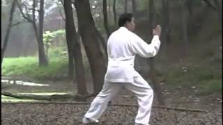 Master ZHU Tian Cai performs CHEN SHI Lao Jia Yi Lu  ChenVillage  Part 1 [upl. by Sayed]