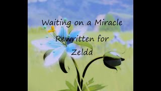 Waiting on a Miracle Zelda Coverrewritten [upl. by Arevle]