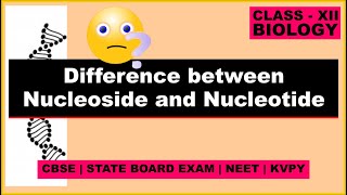 Difference between Nucleoside and Nucleotide  Class 12 Biology [upl. by Hctub]