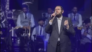 Shmueli Ungar singing songs from Michoel Schnitzler Zquotl [upl. by Ahsimat]