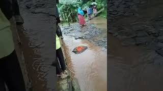 Banjir di cianjur selatan semoga gk naik air nya ke rumah wargasemuaorang fyp shorts [upl. by Itraa]