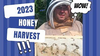 2023 Honey Harvest  OMG 😲 I deleted everything [upl. by Auliffe]