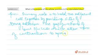 What is the purpose of the cellular junctions in the intercalated discs  12  STRUCTURAL ORGAN [upl. by Nenney]