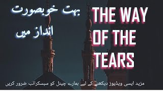 The Way Of The Tears  Nasheed Beautiful Voice  Relaxing Sad Arabic Nasheed [upl. by Esiole]