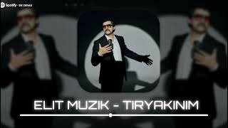 Bayhan  Tiryakinim 2024  Remix Elit Muzik [upl. by Hunger776]