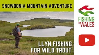 Snowdonia Mountain Trout adventure  llyn fishing for wild brown trout in North Wales [upl. by Diskin]