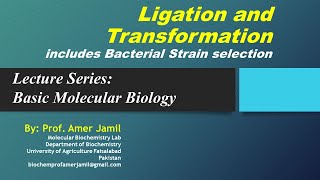 Lecture on DNA ligation and transformation [upl. by Russon]