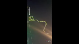 Horrifying moment “Slingshot” ride snaps with passengers inside [upl. by Gelb]