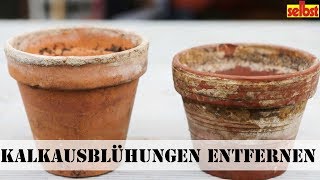 Kalkausblühungen schnell und einfach entfernen [upl. by Hilliard292]