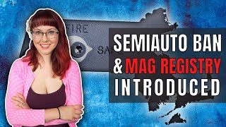 Semiauto Ban Mag Registry Introduced in MA [upl. by Dennison437]