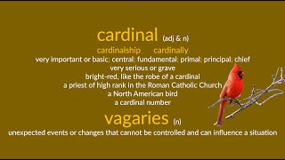 cardinal amp vagaries [upl. by Olcott131]