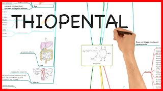 THIOPENTAL PHARMACOLOGY SERIES [upl. by Aliab91]