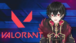 【VALORANT】 シルバーって存在するんですか？【新人Vtuber】 [upl. by Ellatsyrc371]