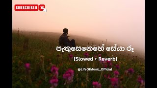 පැතු සෙනෙහේ සේයා රූ Slowed  ReverbThilinaRuhunage [upl. by Ymmij]