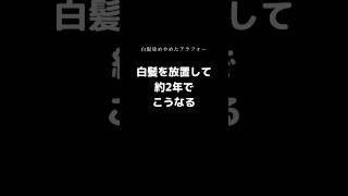 【白髪染めやめた】放置しても完成したグレイヘア👩🏻‍🦳 [upl. by Miguela533]