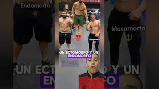 Endomorfo Ectomorfo y Mesomorfo brazos músculos gym mrolympia aesthetic fitness [upl. by Aiht995]