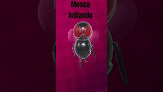 Masca bailando tripaloski music [upl. by Dorcy]