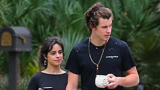 Camila Cabello amp Shawn Mendes Show Off PDA During Quarantine [upl. by Nwahsan]