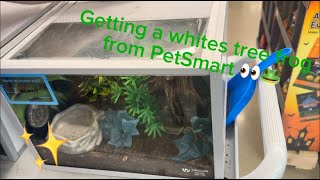 Getting a WHITES TREE FROG from PETSMART [upl. by Westberg]