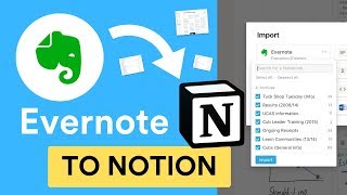 BRAND NEW Evernote to Notion Importer [upl. by Mab]