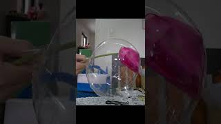 How to Insert a Flower in a Balloon balloondecor balloonflowerbouquet CraftingMagic [upl. by Akeinahs]