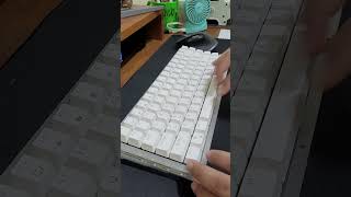 Keyboard Mechanical RK84 Mod Acrylic Case [upl. by Zosema171]