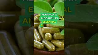 MORINGA  Ancient Superfood [upl. by Kerianne112]