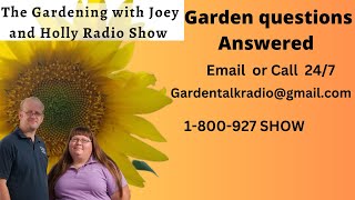 Seg 4 of S8E34 garden questions answered loofahs yacons safe canning harvesting broccoli  radio [upl. by Shyamal839]